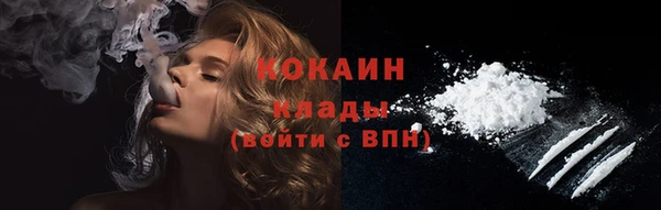 стаф Абинск