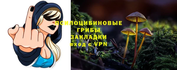 стаф Абинск